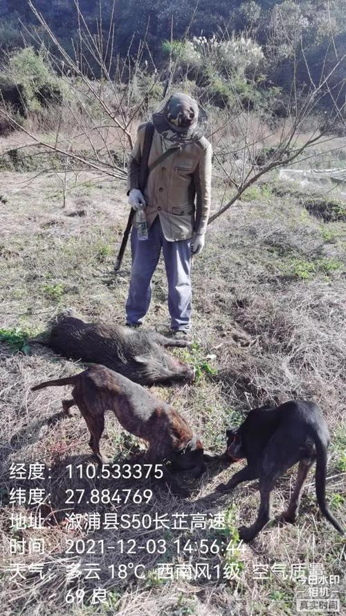 7777788888新版跑狗资料和欲将百万奖占为己有与