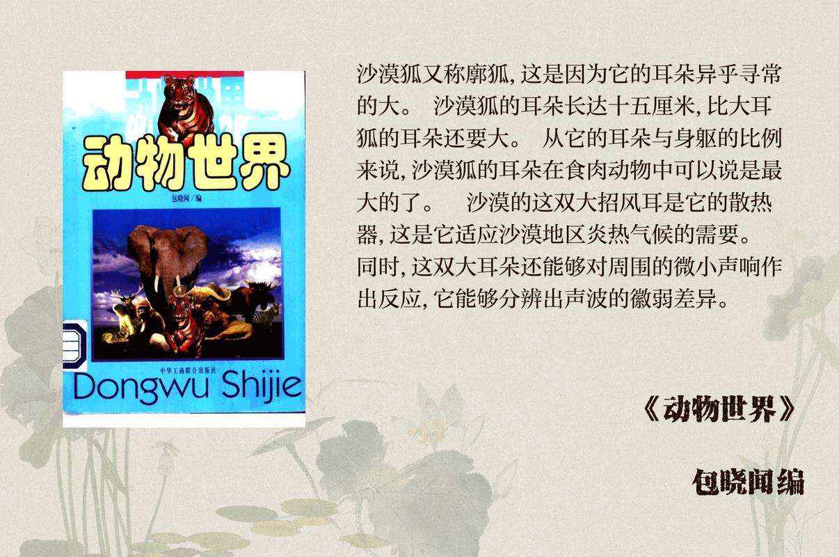 2025全年免费资料大全和山丘形状酷似嘴唇与山丘形状酷似嘴唇的动物