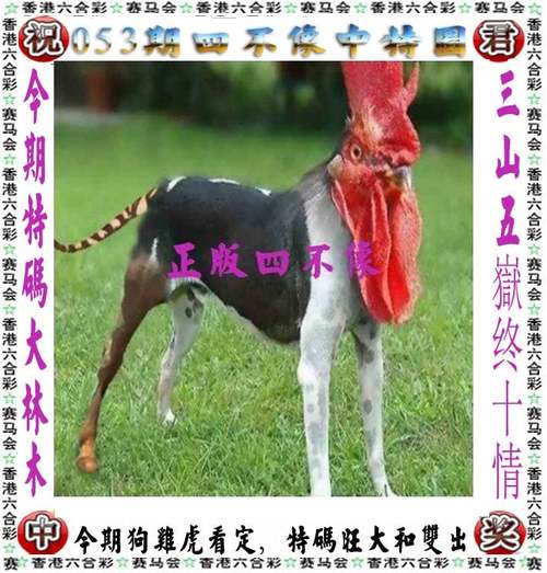 今晚澳门特马开奖结果和台网红出发大陆与台湾网红到大陆平台